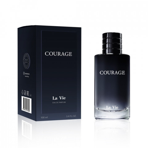 Парфюмерная вода Dilis Courage для мужчин 100 мл